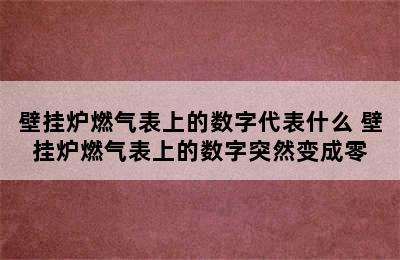 壁挂炉燃气表上的数字代表什么 壁挂炉燃气表上的数字突然变成零